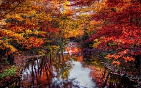 Nature Landscape River Leaves Colorful Trees Fall Water