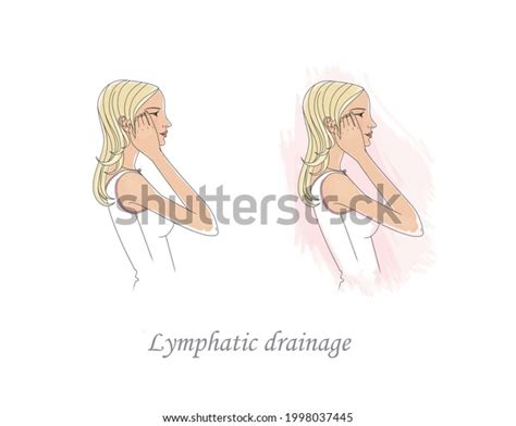 457 Lymphatic Drainage Scheme Images Stock Photos And Vectors Shutterstock
