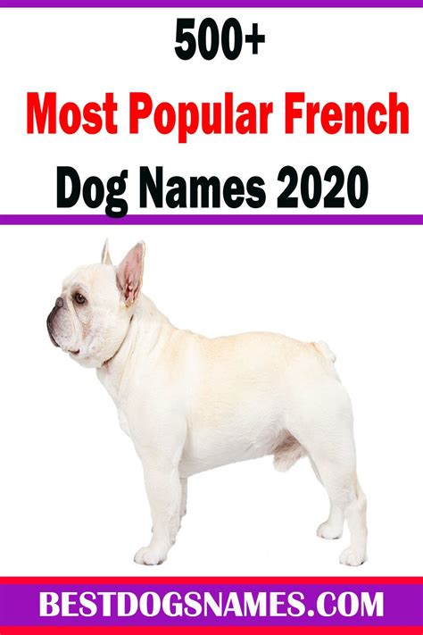 Most Popular French Dog Namesunique Dog Names In 2020 French Dog