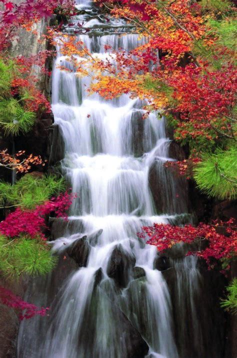 Autumn Waterfalls Red Nature Trees Autumn Leaves Fall