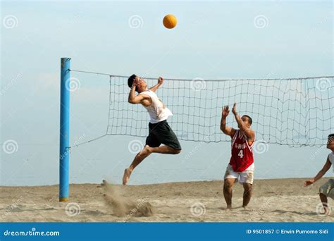 Volleyball De Plage Image Stock Image Du Sportif Frais 9501857