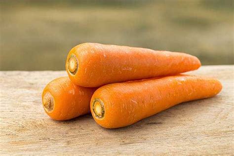 How To Tell If Carrots Are Bad Fruigees