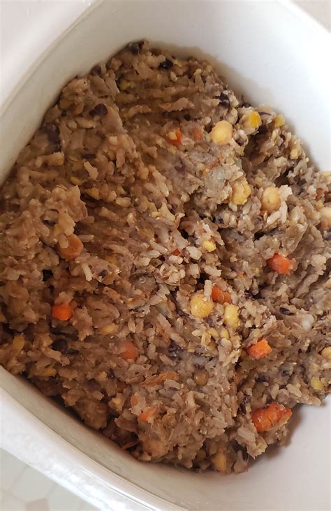 Wondering if a vegan dog diet would work for your pup? Homemade Vegan Dog Food - My pup is obsessed!!