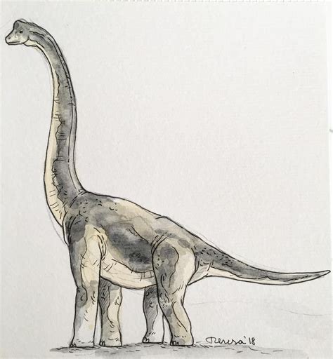 How To Draw A Brachiosaurus At How To Draw