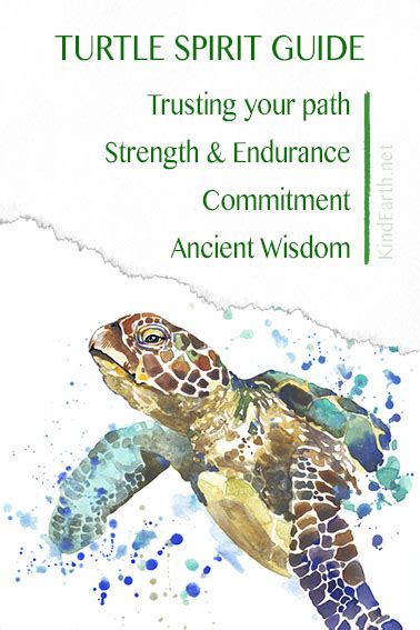 Turtle Spirit Animal Guide Courage Staying True To Your