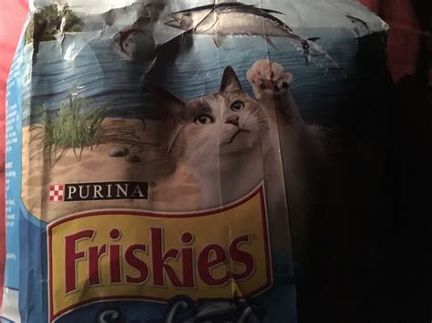 Animal Rescue Packs - The Awesome Foundation