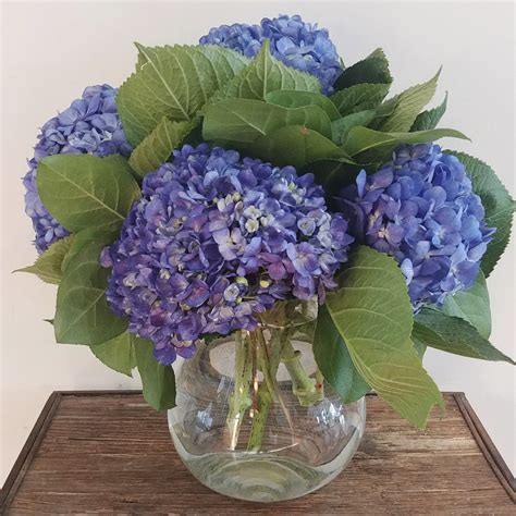 Hydrangea Vase Ithaca Flower Shop