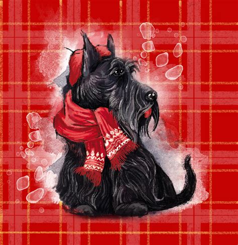 Dogs Scottish Terrier On Behance