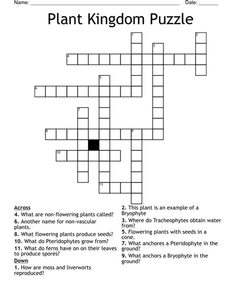 Plant Kingdom Puzzle Crossword Wordmint