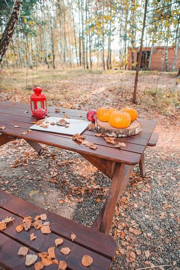 Wooden Picnic Table In Autumn Forest Remote Work Concept In Nature