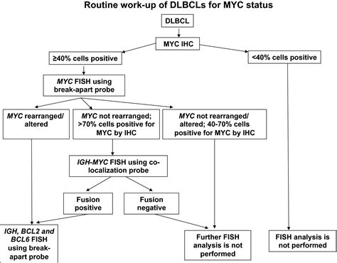 Myc And Bcl2 Evaluation In Routine Diagnostics Of Aggressive B‐cell