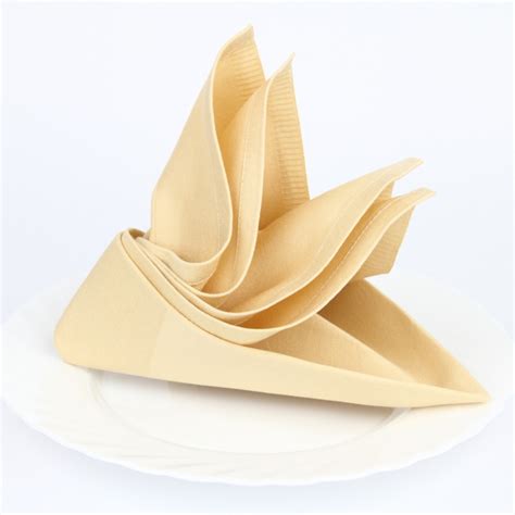 Spruce Up Your Dinner Table With Impressive Napkin Folding Republic