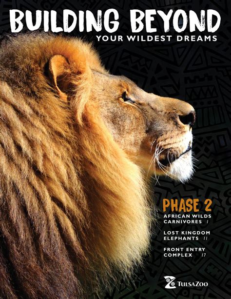 Building Beyond Your Wildest Dreams By Ruth Holland Flipsnack