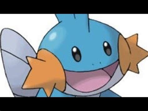 Can You Beat Pokemon Brick Bronze With ONLY Mudkip Part 2 YouTube