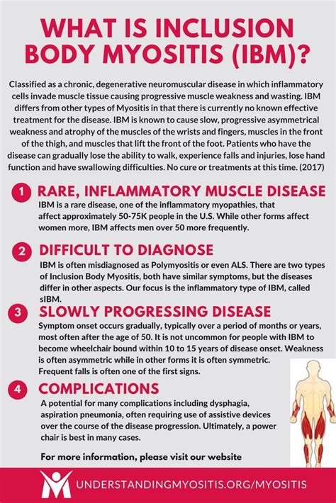 What Is Sporadic Inclusion Body Myositis Myositis Muscle Diseases