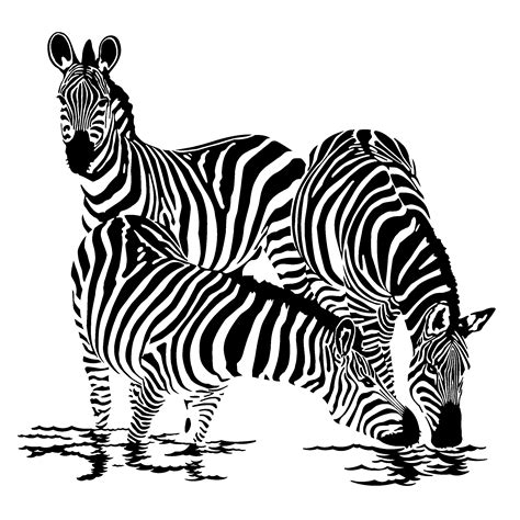 Zebra Animals Page 3 Printable Coloring Pages