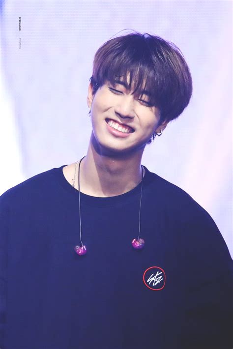 You decided to let yourself relish in this moment for the time being, when would you. Stray Kids' Han Interacted With Fans So Much That His ...