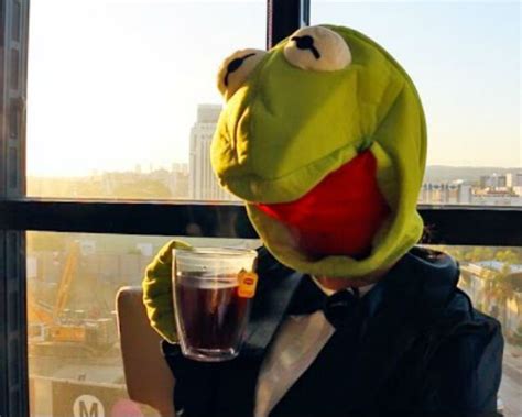 Kermit Memes Watch Video Which Hilariously Shows Real Life Situations