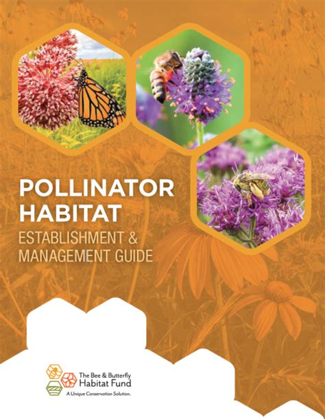 Pollinator Habitat Guide Bee And Butterfly Habitat Fund