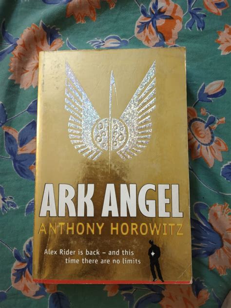 Buy Ark Angel Bookflow