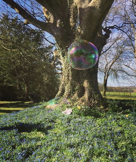 Bubbles in Nature | Giant bubbles, Nature, Bubbles