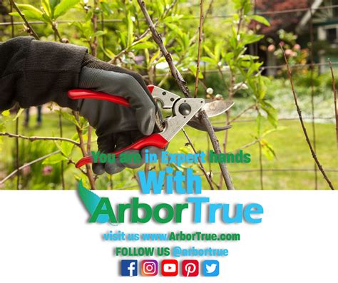Here Is A Great Article On The Benefits Of Winter Pruning