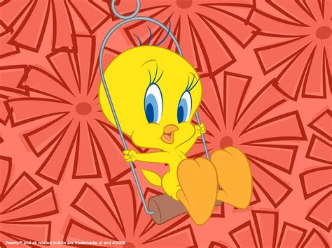 Free Download Free Wallpaper Stock Tweety Wallpaper 1024x768 For Your Desktop Mobile And Tablet