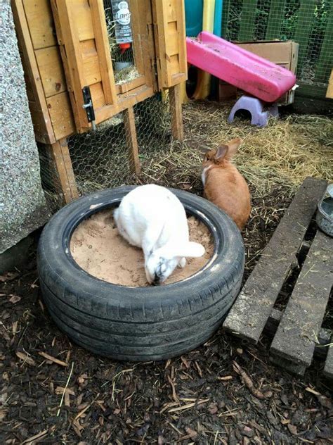 Digging Pit Pet Bunny Rabbit Enclosure Bunny Cages