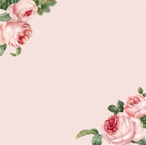 Hand Drawn Pink Roses Frame On Pastel Pink Background Vector Download