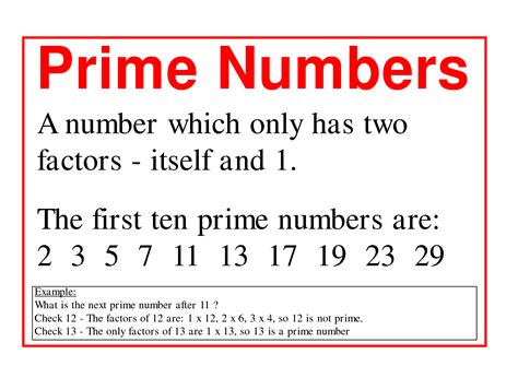 The First 5 Prime Numbers