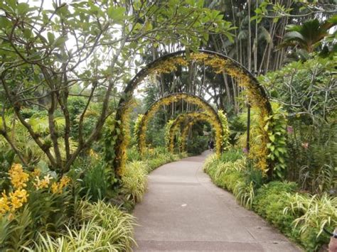 Singapore Botanic Gardens 2019 All You Need To Know Before You Go