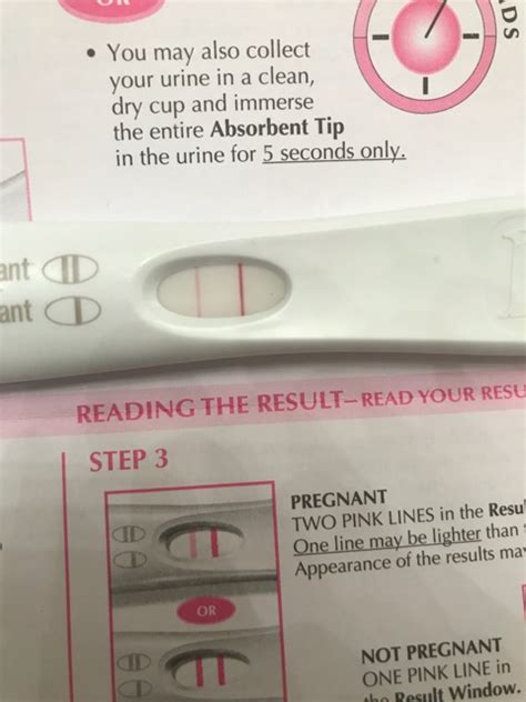 Light Pink Spotting After Positive Pregnancy Test Pregnancywalls