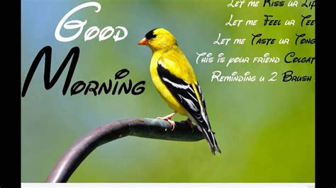 It's a brand new day, like brand new shoes giving you that spring in #4: Good Morning Wishes,Quotes,Prayers,Blessings,Greetings,E ...