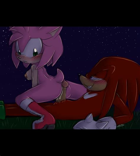 1262131 Amy Rose Bluechika Knuckles The Echidna Sonic Team