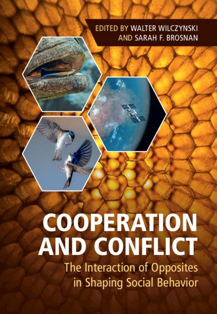 Cooperation And Conflict In International Relations Chapter 1