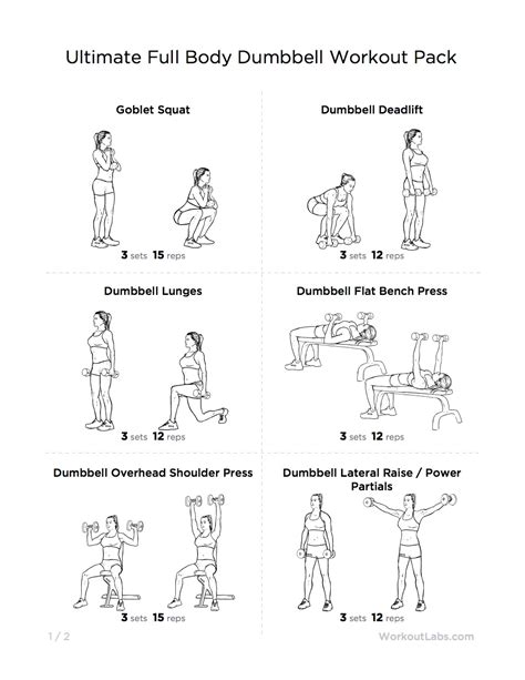 Full Body Dumbbell Workout Routine At Home Pdf