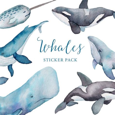 Whales Printable Sticker Pack Watercolor Whales Blue Etsy