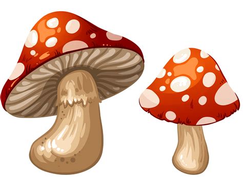 China mushroom clipart 20 free Cliparts | Download images on Clipground png image