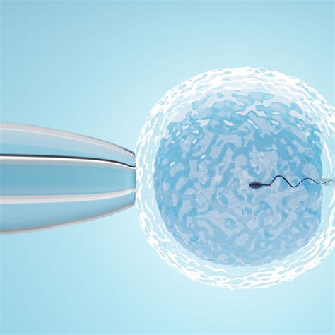 Signs Of Infertility And How Kingwood Ivf Can Help