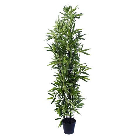 Artificial Bamboo Black Bamboo 180cm Real Touch Leaves Designer Plants