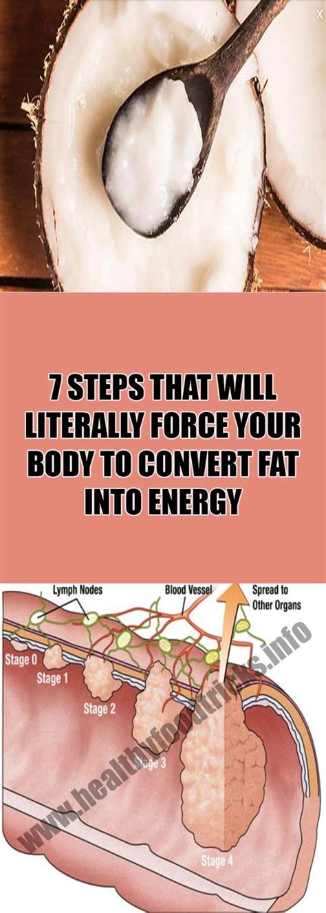 7 STEPS THAT WILL LITERALLY FORCE YOUR BODY TO CONVERT FAT INTO ENERGY