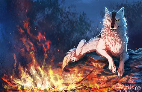 Wolf Fursona Maker ~ Furry Anthro Animals Wolf Wallpapers Hd