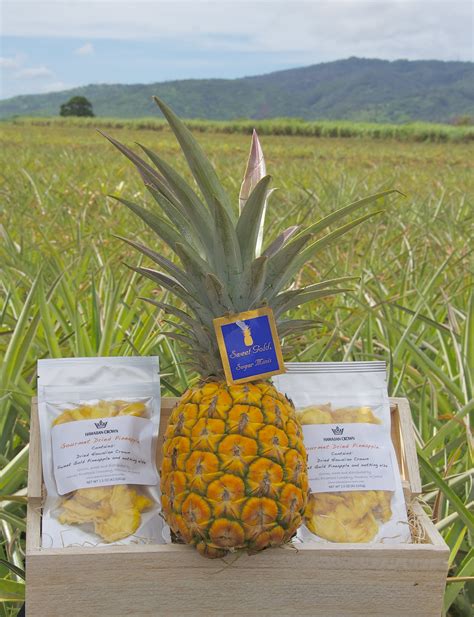 Gourmet Dried Pineapple Hawaiian Crown