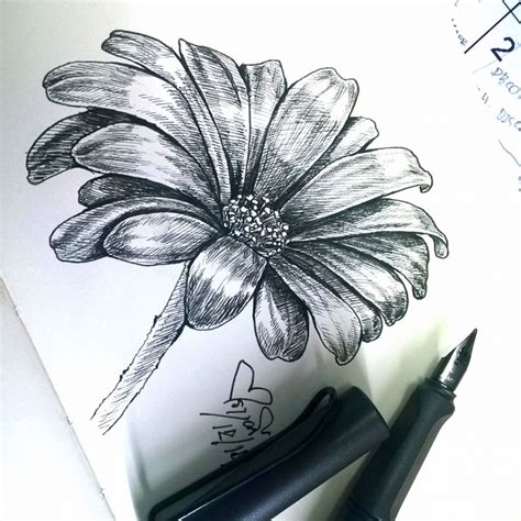 Black And White Flower Papersketch Flower สเก็ตซ์ Moleskine Lamy