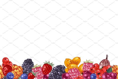 Fresh berries | Fresh berries, Berries, Wild berry