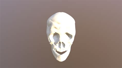 Skull 3d Model By Haradaa28 6f14cad Sketchfab