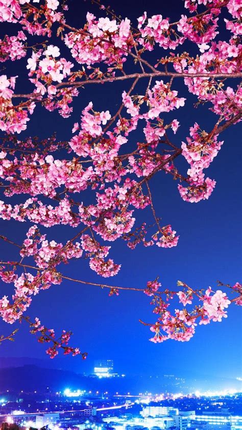 Pink Flowers On Branches Cherry Blossom Wallpaper Download 1080x1920