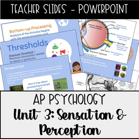 Ap Psychology Resources Unit 3 Sensation And Perception