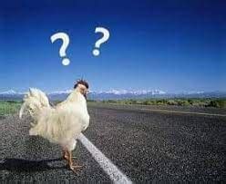 Pourquoi le poulet a t il traversé la route Eurolibertés