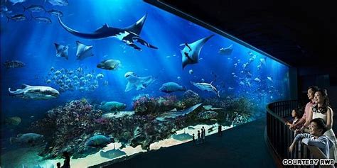 Sea Aquarium The Largest In The World Oceanarium Was Inaugurated